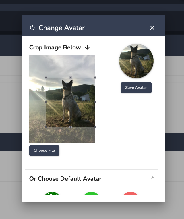 Screen_Shot_2022-06-09_at_11.21.16_AM.png